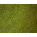ESLICHEN32